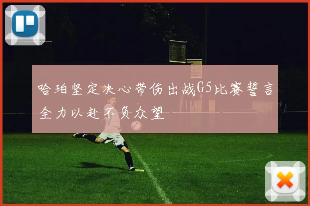 哈珀坚定决心带伤出战G5比赛誓言全力以赴不负众望