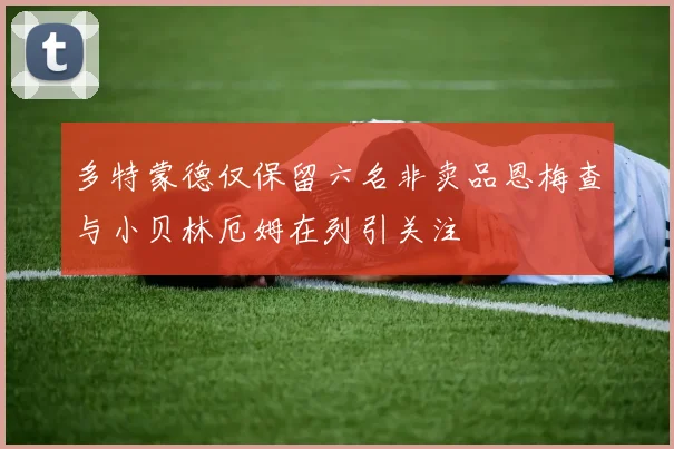 多特蒙德仅保留六名非卖品恩梅查与小贝林厄姆在列引关注